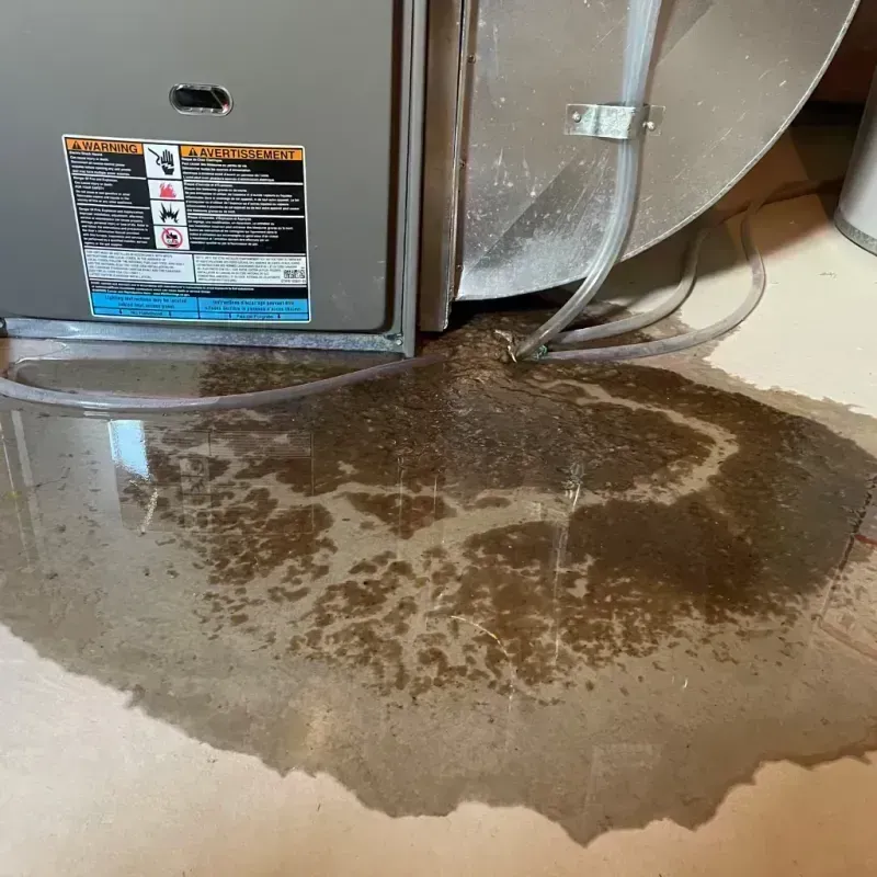 Appliance Leak Cleanup in Twin Lakes, CO